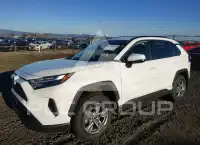 2025 Toyota RAV4 photo