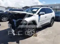 2025 Toyota RAV4 фото