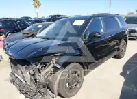 2025 KIA Carnival photo