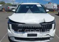 2025 KIA Carnival photo