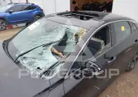 2025 KIA K5 фото