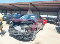 2025 KIA Sportage фото