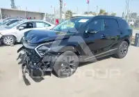 2025 KIA Sportage фото