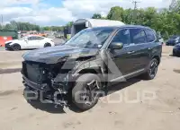 2025 KIA Telluride photo