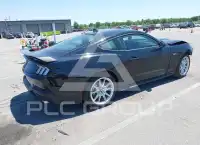 2025 Ford MUSTANG photo