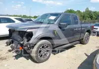 2025 Ford F-150 фото