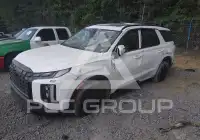 2025 Hyundai Palisade фото