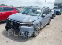 2026 Honda PILOT фото