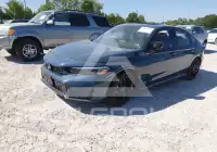 2026 Honda CIVIC photo