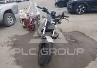 2026 Honda CMX300 фото