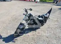 2026 Honda CMX300 фото