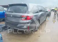 2026 Honda ODYSSEY фото