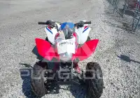 2026 Honda TRX250 фото