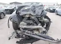 2026 Tesla Model Y photo
