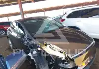 2026 Tesla Model Y фото
