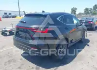 2026 Lexus NX250 фото