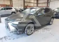 2026 Lexus NX250 фото