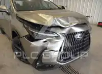 2026 Lexus NX450 фото