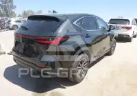 2026 Lexus NX450 фото