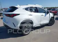 2026 Lexus NX250 фото