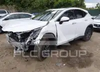2026 Lexus NX250 фото