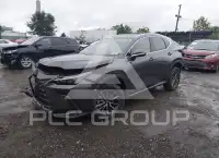 2026 Lexus NX250 photo