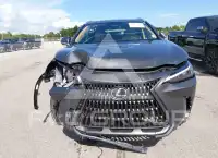 2026 Lexus NX250 photo