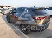 2026 Lexus NX250 photo