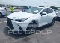 2026 Lexus NX250 фото
