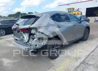 2026 Lexus NX250 photo