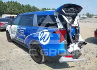 2026 KIA Carnival фото