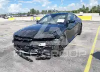 2027 BMW M4 фото