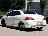 2007 Peugeot 307