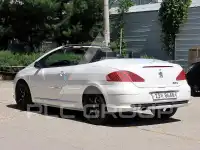 2007 Peugeot 307
