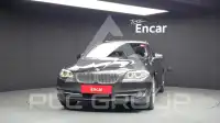 2010 BMW 520