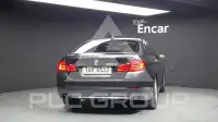 2010 BMW 520
