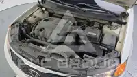 2010 KIA Roche