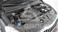 2010 KIA Carnival
