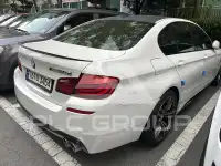 2011 BMW 520M