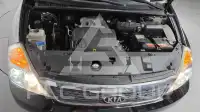 2011 KIA Carnival
