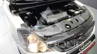 2013 KIA Carnival