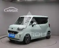 2013 KIA Ray
