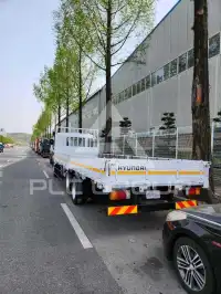 2013 Hyundai Mega truck