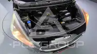 2014 KIA Carens