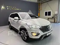 2014 Hyundai Maxcruz