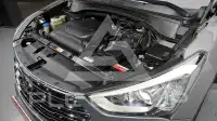 2014 Hyundai Maxcruz