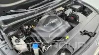 2015 KIA Carnival