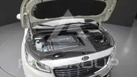 2015 KIA Carnival