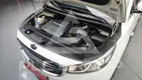 2016 KIA Carnival