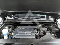2016 KIA Carnival